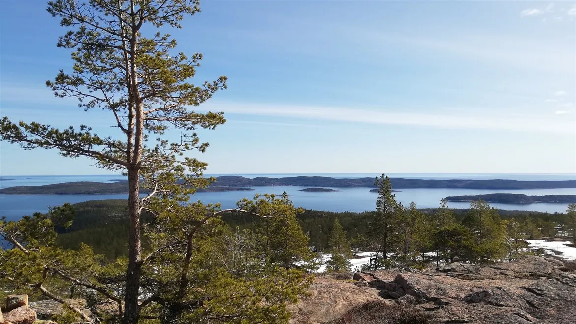 WAYA Friluftsprogram: Utsikt mot havet och skärgården från Skuleberget