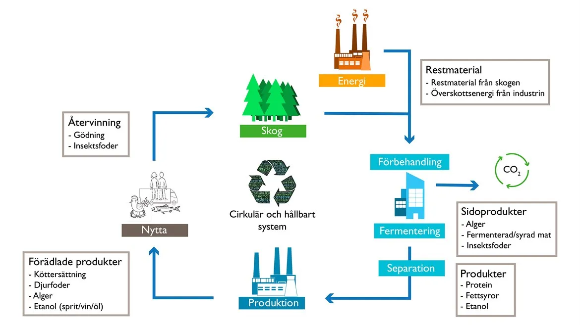 Foodtech process illustration