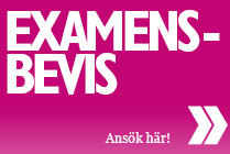 Ansökan om examen