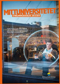 Puff för katalogen på startsidan