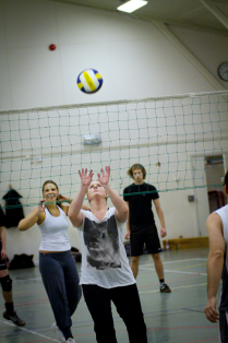 Volleyboll