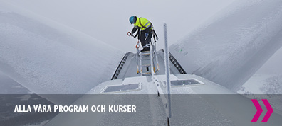 Program och kurser