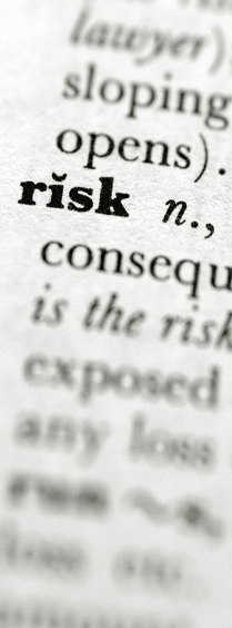 Dictionary Risk