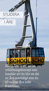 Ersättningsbild - Flash kunder inte visas