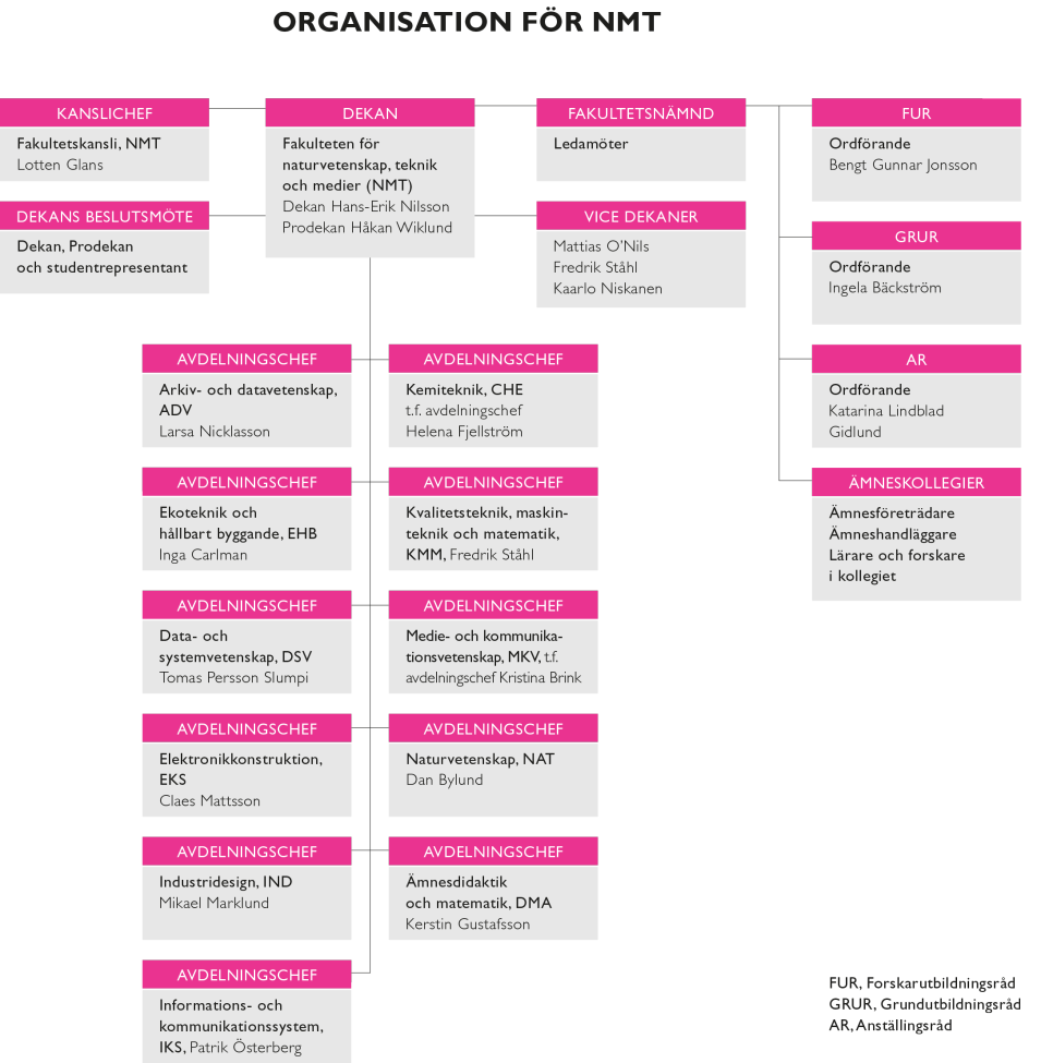 Organisationsplan för NMT