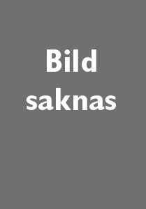 Bild saknas