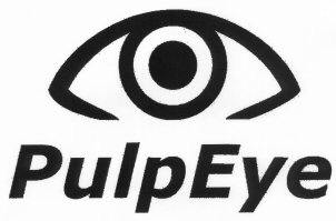 PulpEye Logo