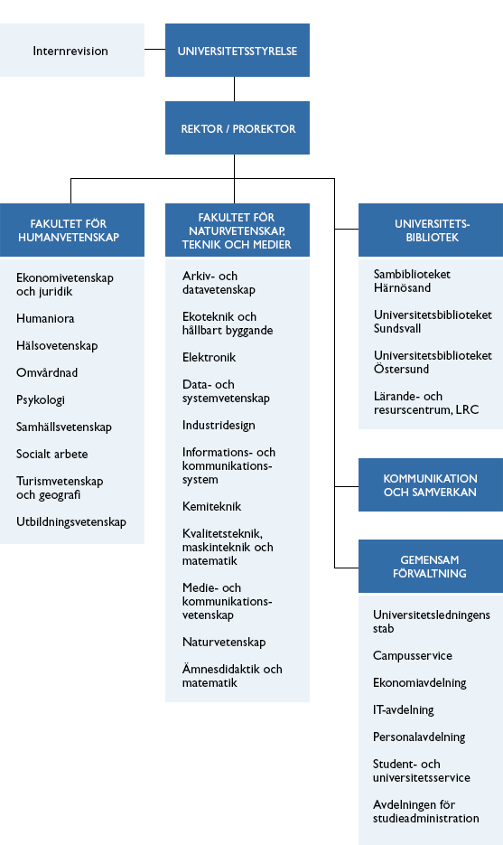 Organisationsskiss