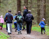 promenad vandra skog