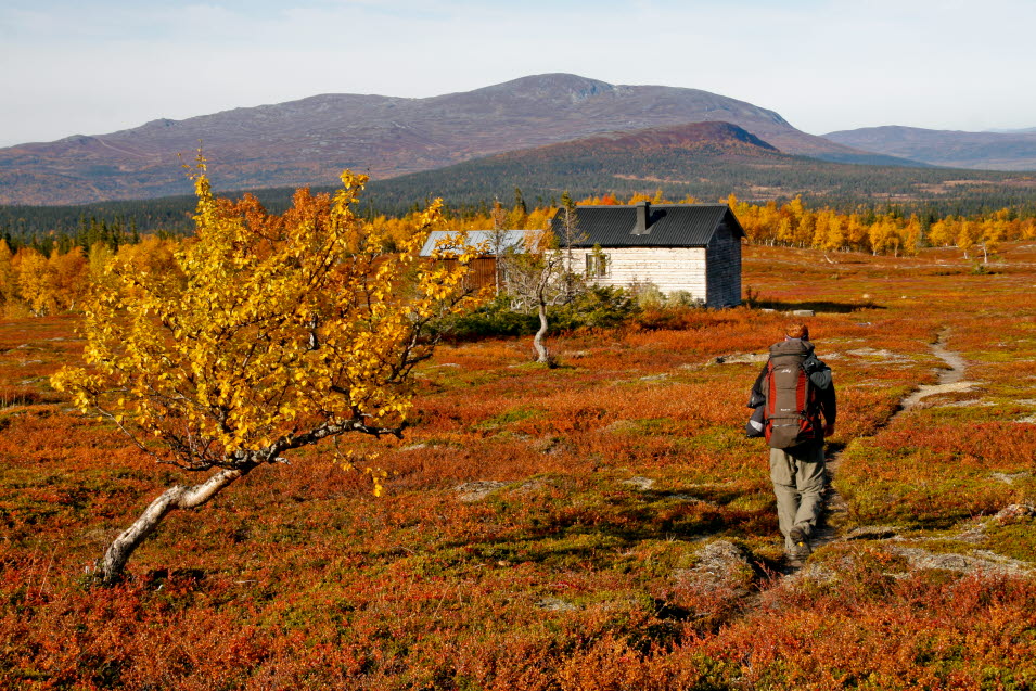 Vägar till mångfunktionella fjällandskap