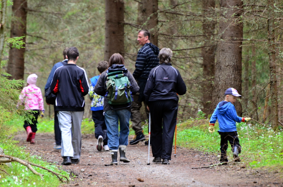 promenad vandra skog