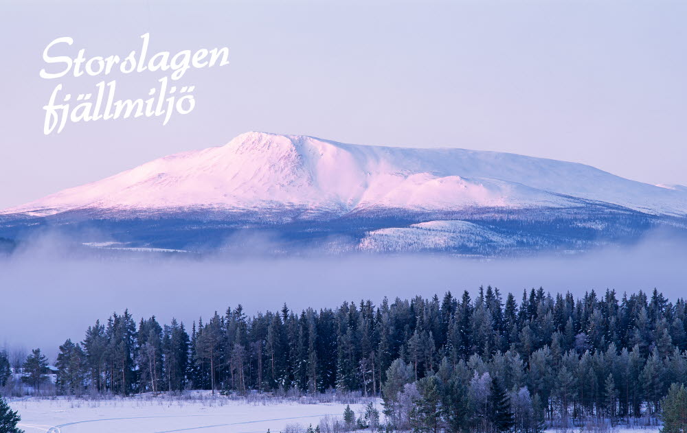 Storslagen Fjällmiljö profilbild