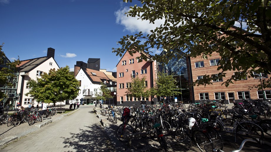 Campus Sundsvall