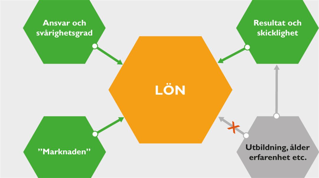 Lönekriterier_illustration som org-skiss