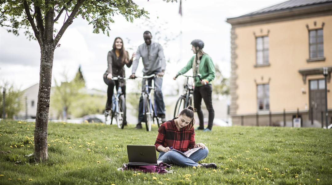 Internationalisering IRO utlandsstudier utbytesstudent