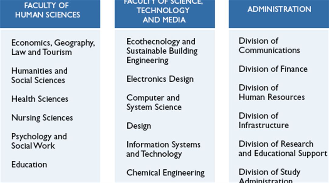 Organisationsskiss VT 2019 eng