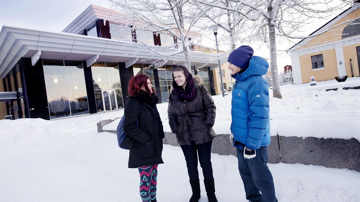 Studenter i vinterskrud