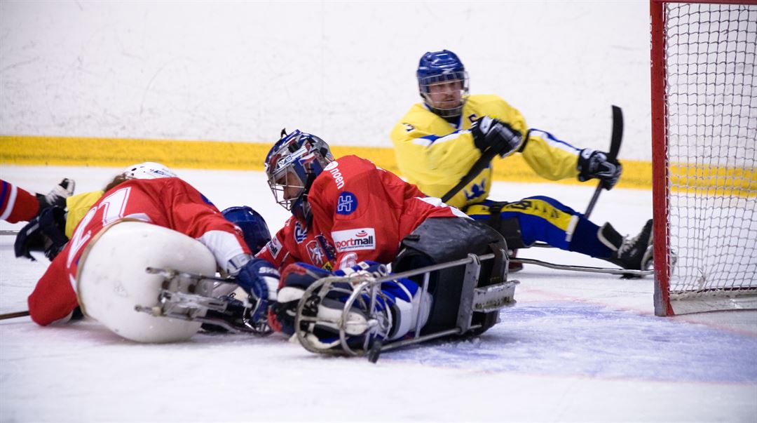 Kälkhockey, parasport, paraidrott, paralympics