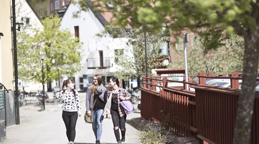 Studenter, Sundsvall, utomhus