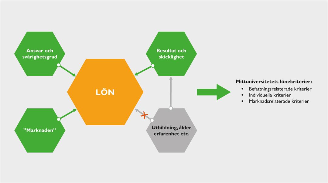 Lönekriterier_illustration som org-skiss