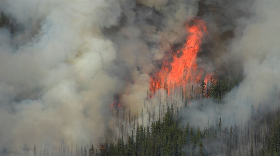 Skogsbrand från luften, flygfoto