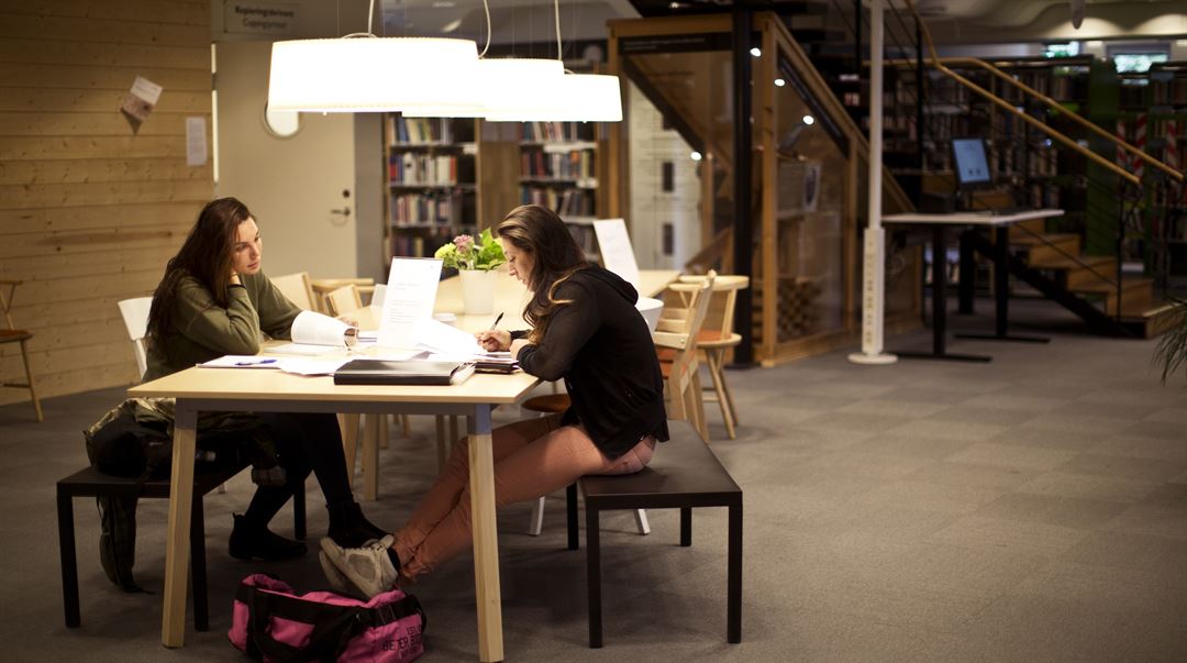 Biblioteket