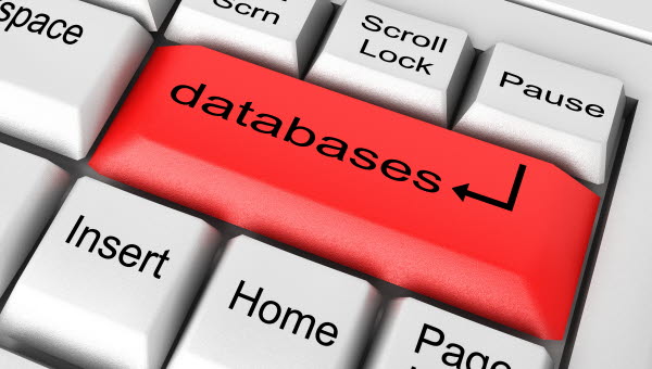 Databaser