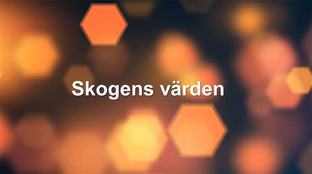 Skogens värden