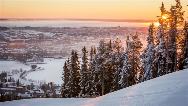 Vintervy med solnedgång bakom en granridå från en skidbacke med utsikt mot staden.