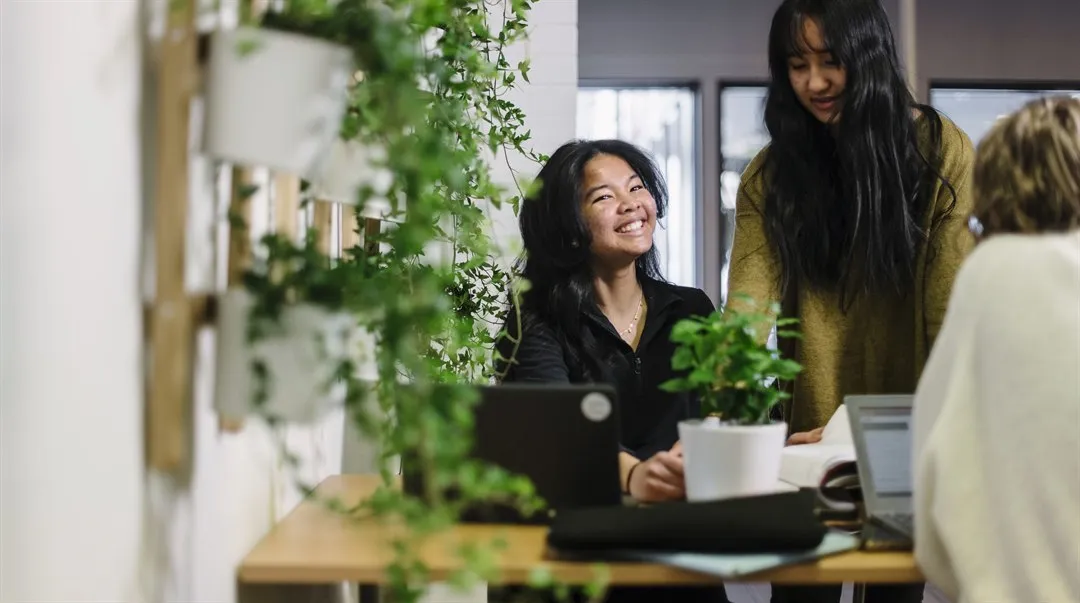 Kommunsamverkan, Timrå gymnasium 