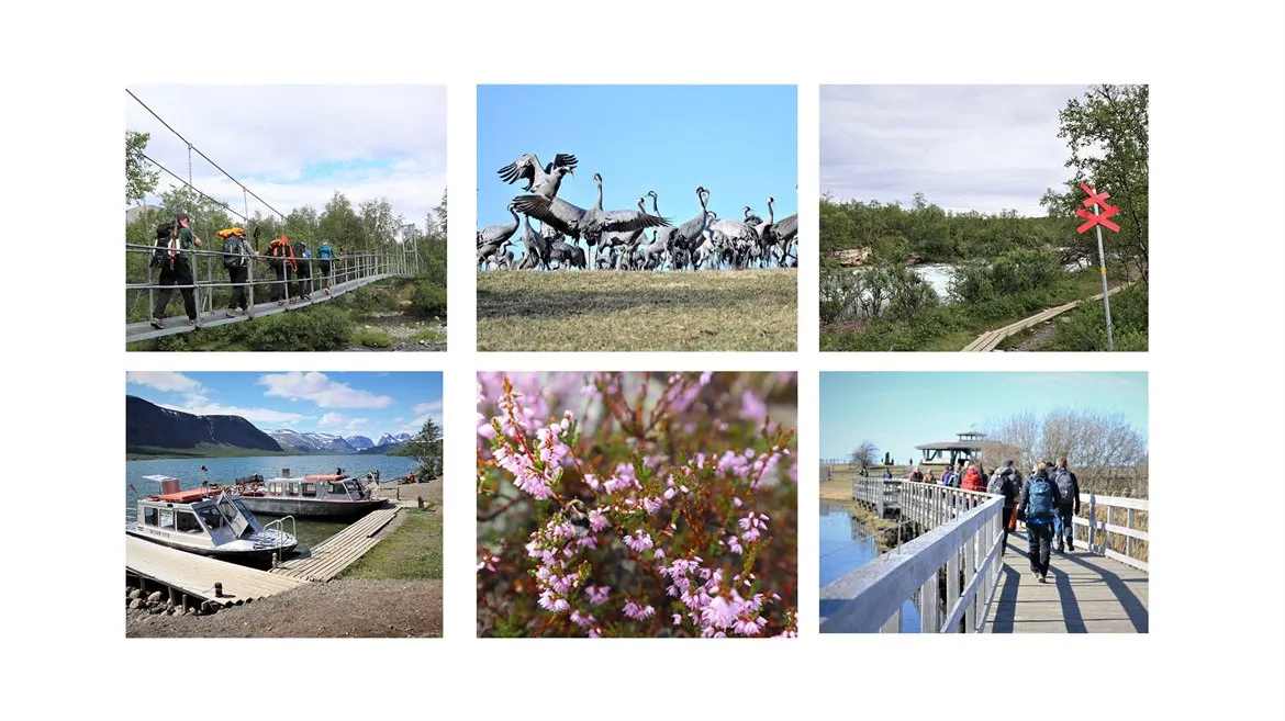 Kollage på friluftsaktiviteter och miljöer