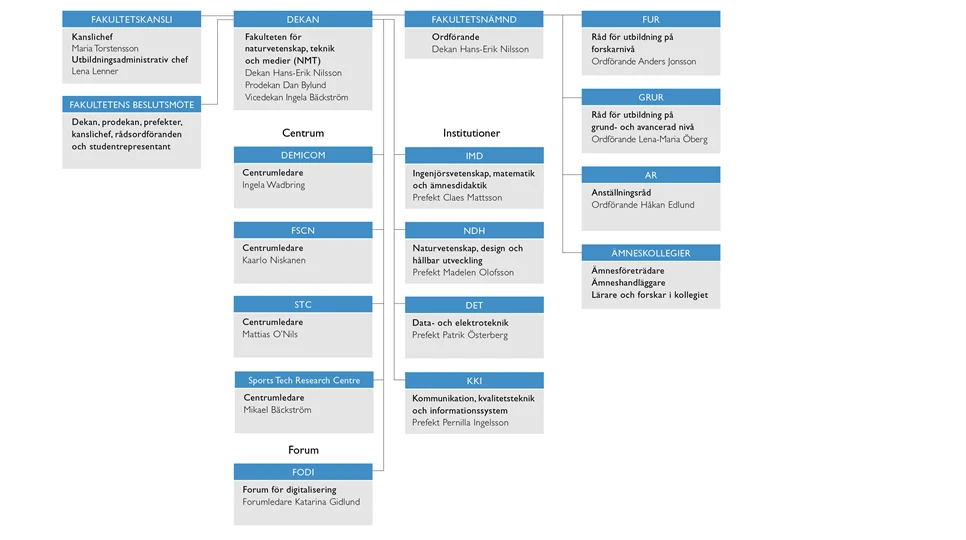 Organisationsskiss NMT