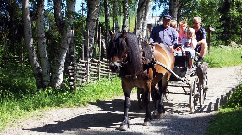 Häst och vagn på Jamtli