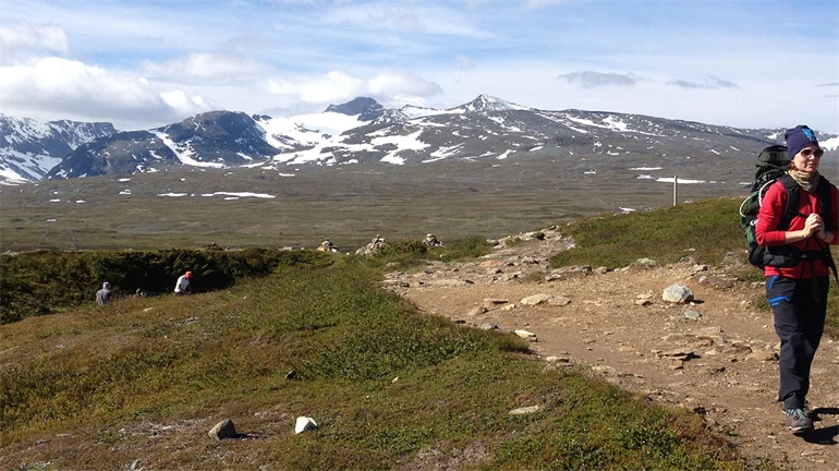 Vandrare på led i Jämtlandsfjällen