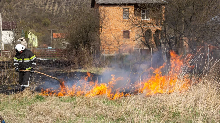 En brandman står i högt gräs och håller i en kraftig gren. Gräset bredvid hen brinner. I bakgrunden syns flera hus.