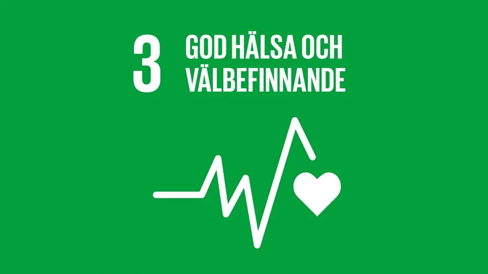 Globala målen