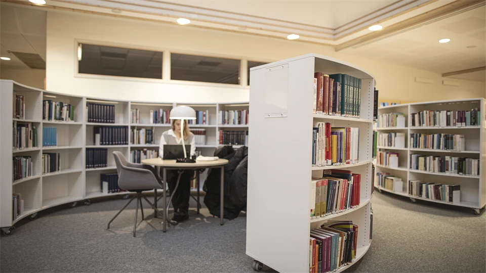 Bokhylla biblioteket i Östersund