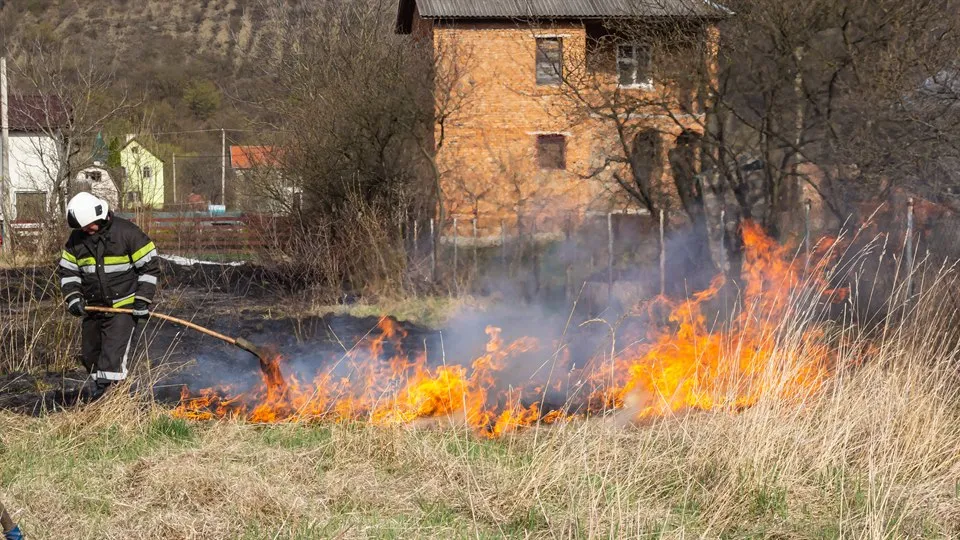 En brandman står i högt gräs och håller i en kraftig gren. Gräset bredvid hen brinner. I bakgrunden syns flera hus.