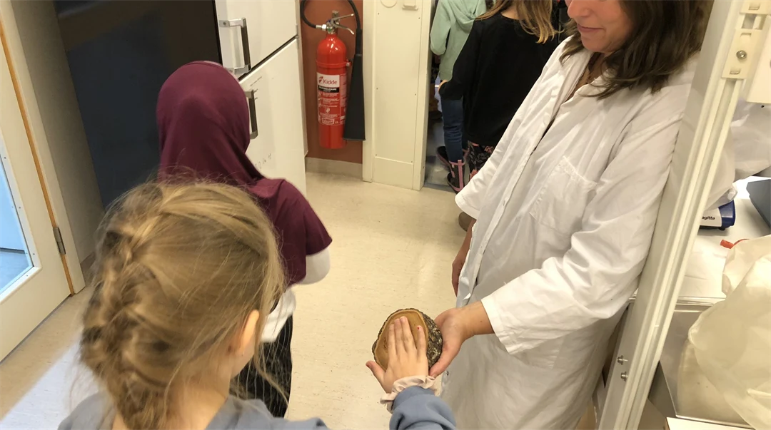 Flicka som känner på en träbit. ForskarFredag 2022.